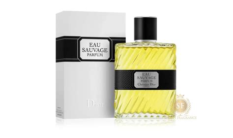 orsacchiotto dior|Fragrance Outlet .